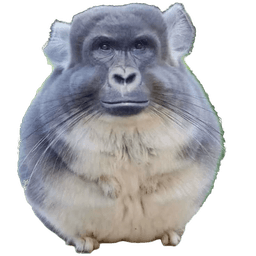 Chingrilla